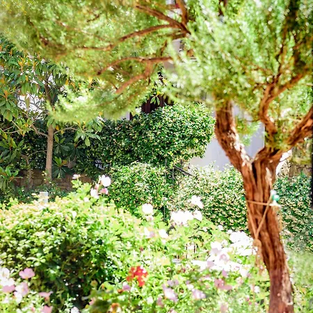 La Luna House Daire Pefkochori