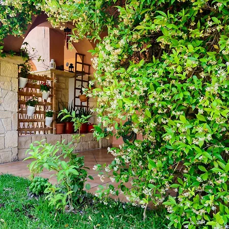 Apartment La Luna House Pefkochori
