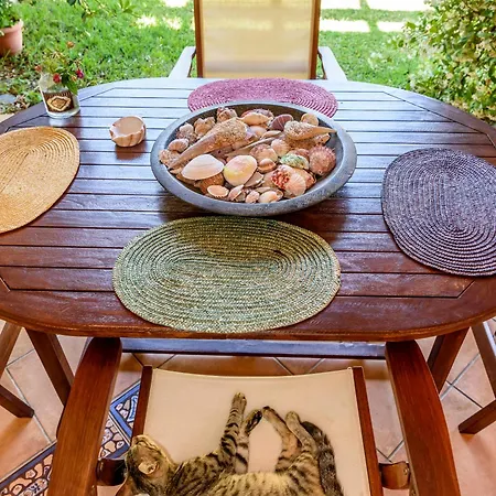 La Luna House Pefkochori