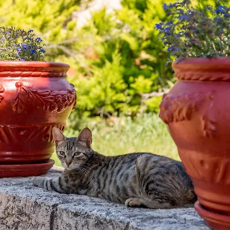 La Luna House דירה