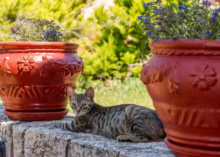 La Luna House Apartament